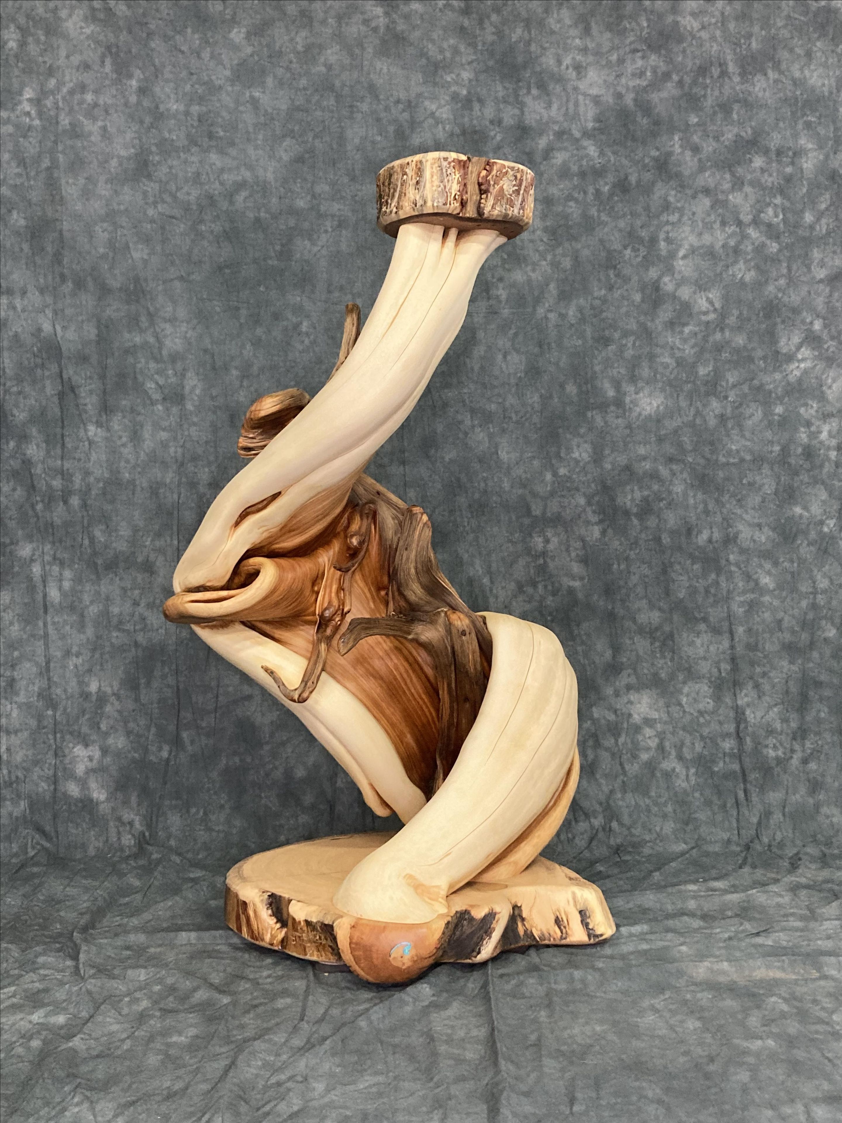 Handmade Twisted Juniper Taxidermy Pedestal 5 