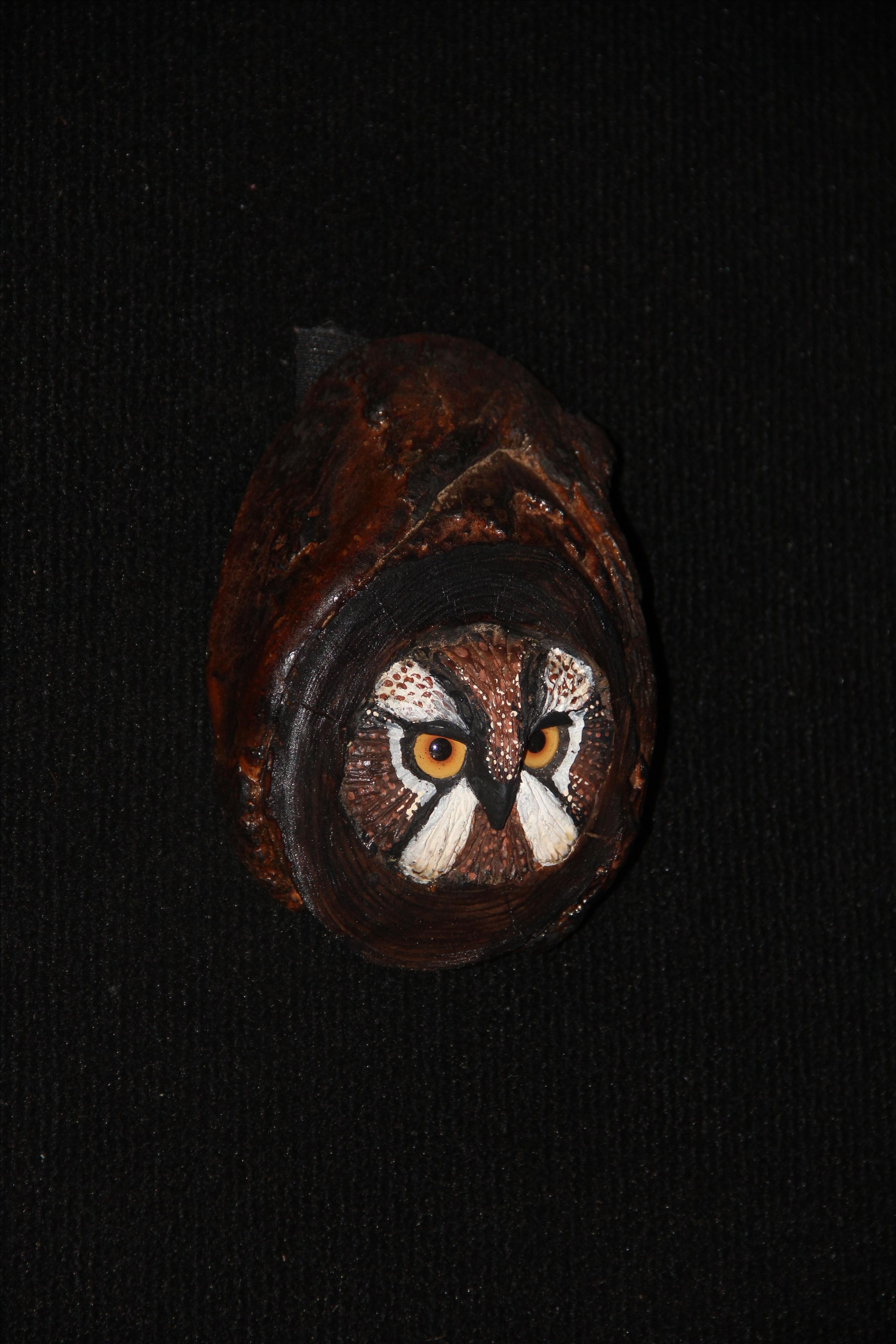 Hand Carved And Sculpted Owl Wall Art